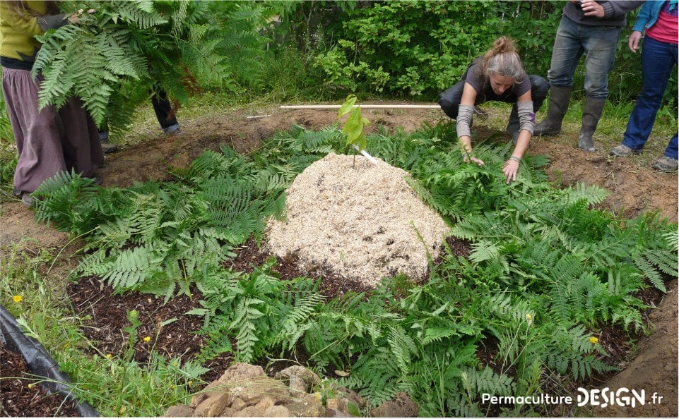 Pour le compostage des matières organiques, la machine à compost est idéale