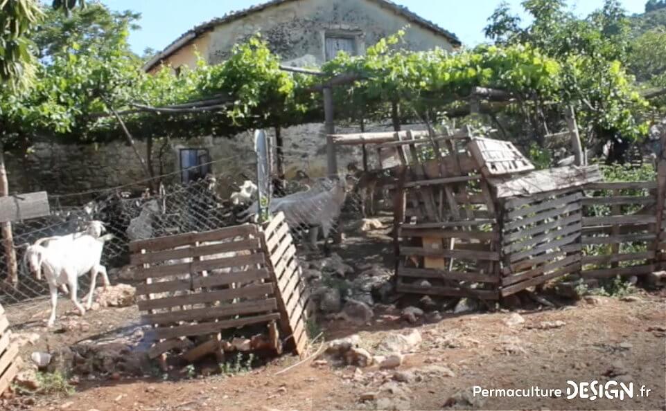 Jardin en milieu semi-aride où on pratique la permaculture sans le savoir :)