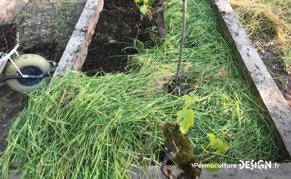 La culture en lasagne est une technique de Permaculture visant à créer des buttes de culture temporaires très fertiles. Un jardin en lasagne ou potager en lasagne se réalise rapidement et facilement si on a les matières organiques à disposition.