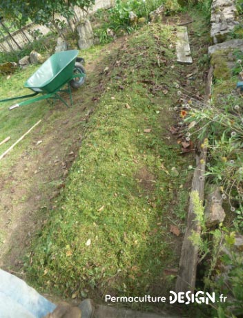 La butte de culture Philip Forrer est une technique de permaculture atypique utilisant des troncs de résineux, du bois broyé et des aiguilles de pin.