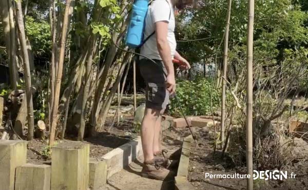 Le mélange eau / jus de fermentation Bokashi est ensuite pulvérisé très facilement au jardin.