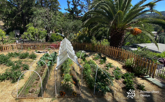 Photos du « Potager Perma+ ».