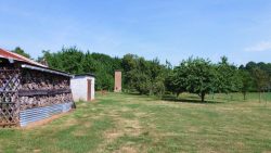 Comment transformer un jardin « classique » grâce à la permaculture ?
