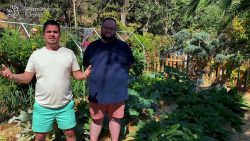 D’une pelouse à un potager en permaculture hyper productif