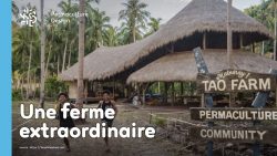 La ferme en permaculture Tao de Jack Footit et Eddie Brock