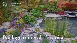 Paillage d&rsquo;ardoise : un paillage minéral et décoratif