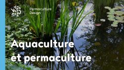 Aquaculture et permaculture