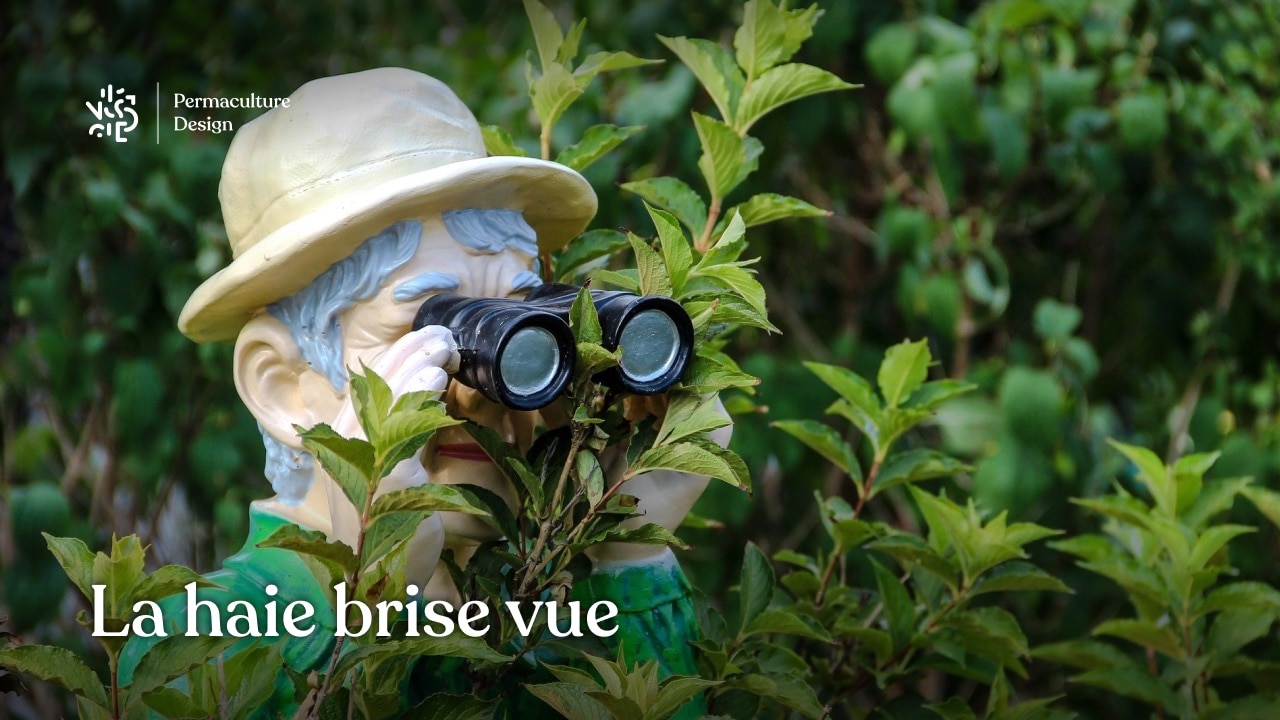 La haie de jardin végétale et brise vue