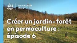 Créer collectivement un jardin-forêt en permaculture : épisode 7