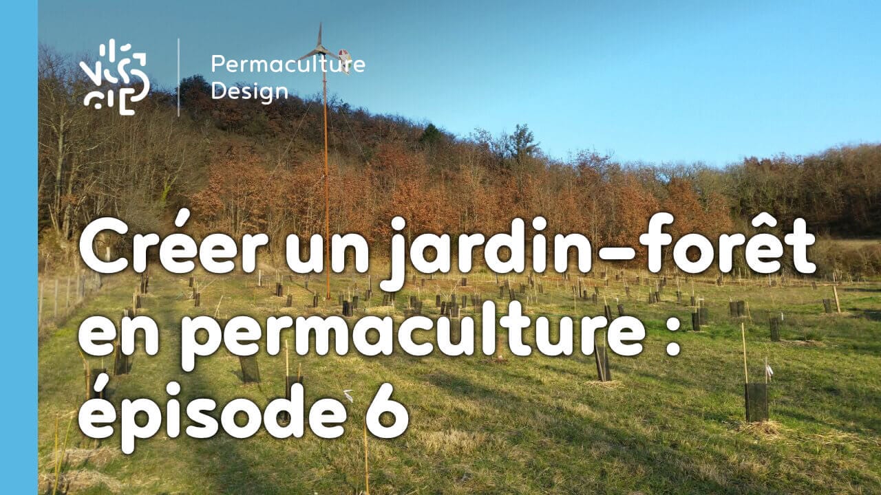 Créer collectivement un jardin-forêt en permaculture : épisode 7