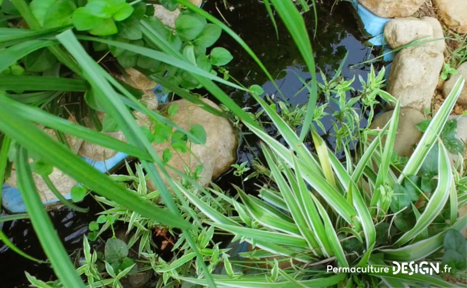 Grâce à la formation « Invitez la permaculture dans votre jardin », Myriam et Déborah ont transformé un parking en jardin potager résilient.