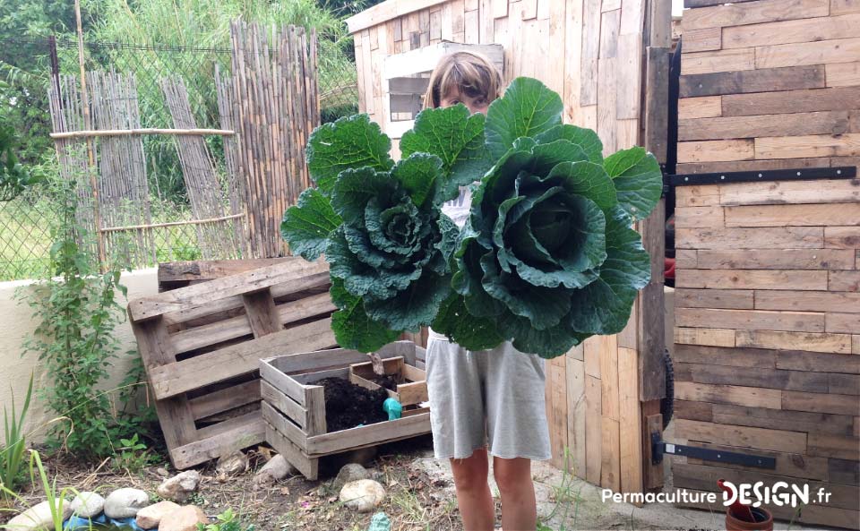 Grâce à la formation « Invitez la permaculture dans votre jardin », Myriam et Déborah ont transformé un parking en jardin potager résilient.