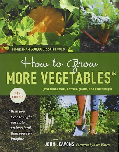 How to grow more vegetables