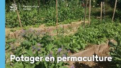 La permaculture au jardin potager : le guide complet