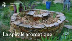 La spirale aromatique en permaculture