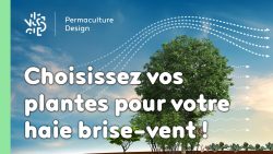 Choisissez vos plantes pour votre haie brise-vent !