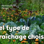 ​​Quel type de maraîcher devenir quand on se lance dans cette activité agricole : en conventionnel, en bio ou en permaculture ?