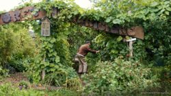 Quoi faire chaque mois dans un jardin-forêt productif ?