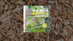 Livre Ma haie refuge de biodiversité : choisir, planter, observer