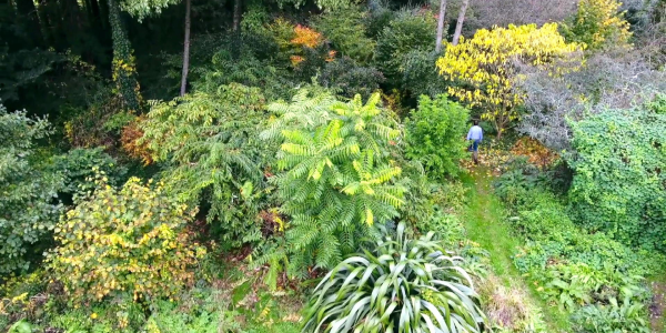 Formation permaculture forêt jardin avec martin crawford