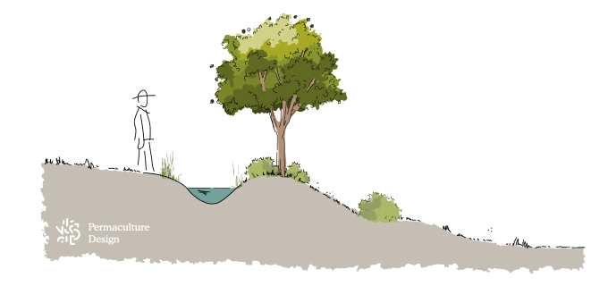 Principe swale infiltration en permaculture.