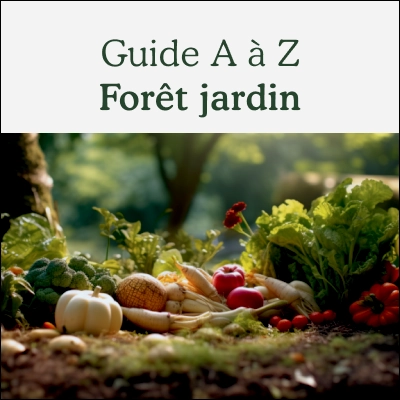 La forêt-jardin de A à Z