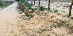 Gestion de l’eau en permaculture : résoudre les problèmes d’érosion et de fertilité