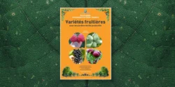 Variétés fruitières pour des jardins-forêts productifs : l’ouvrage indispensable