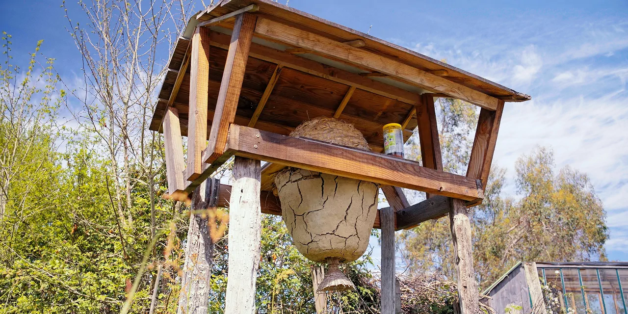 Apiculture naturelle : Comment choisir la ruche idéale pour respecter les abeilles
