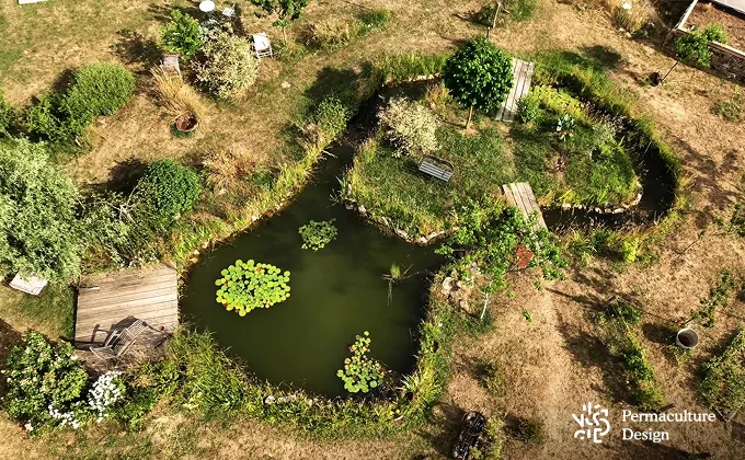 Mare naturelle dans jardin en permaculture dans le Cantal.
