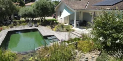 Transformer son jardin (et une vieille piscine) en havre de biodiversité grâce à la permaculture