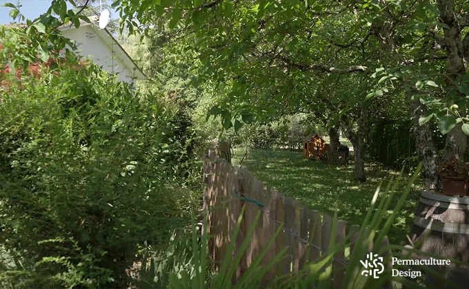 Poulailler intégré dans un jardin en permaculture.