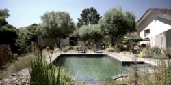 Piscine naturelle : transformez votre ancienne piscine en oasis vivante