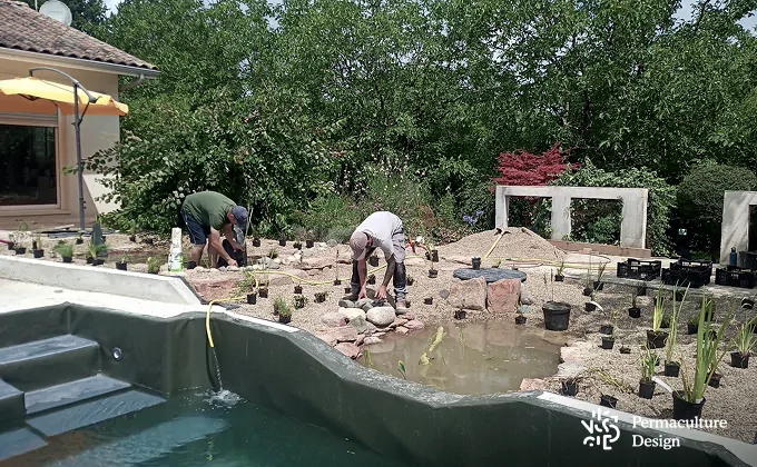 Image d'une piscine classique, transformée en piscine naturelle.