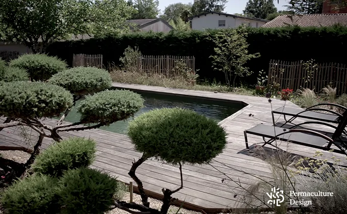 Image d'une piscine classique, transformée en piscine naturelle.