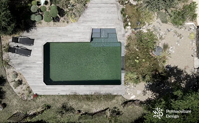 Image d'une piscine classique, transformée en piscine naturelle.