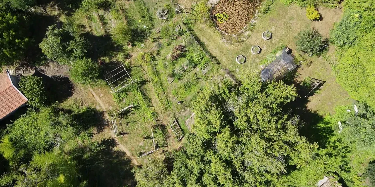 Jardin en permaculture : comment réussir sur sol sableux ?