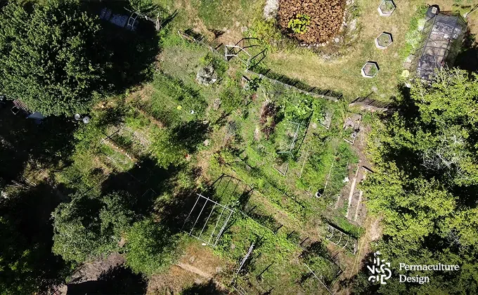 Potager en permaculture avec serre, structures et mare naturelle