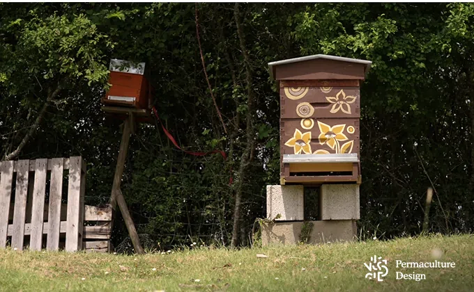 Ruche dans un jardin en permaculture.