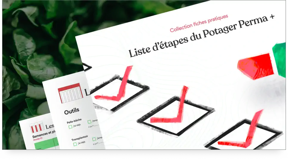Cahier d'étapes