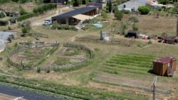 Micro-ferme en permaculture, retour d’expérience de Sophie et Yoann