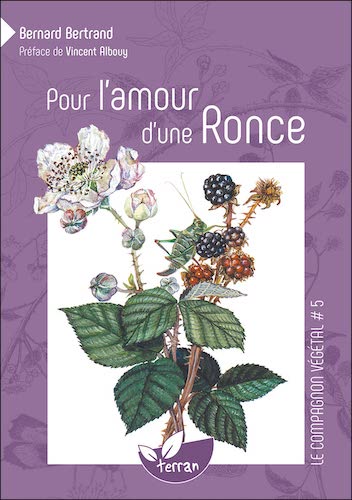 Pour l&rsquo;amour d&rsquo;une ronce