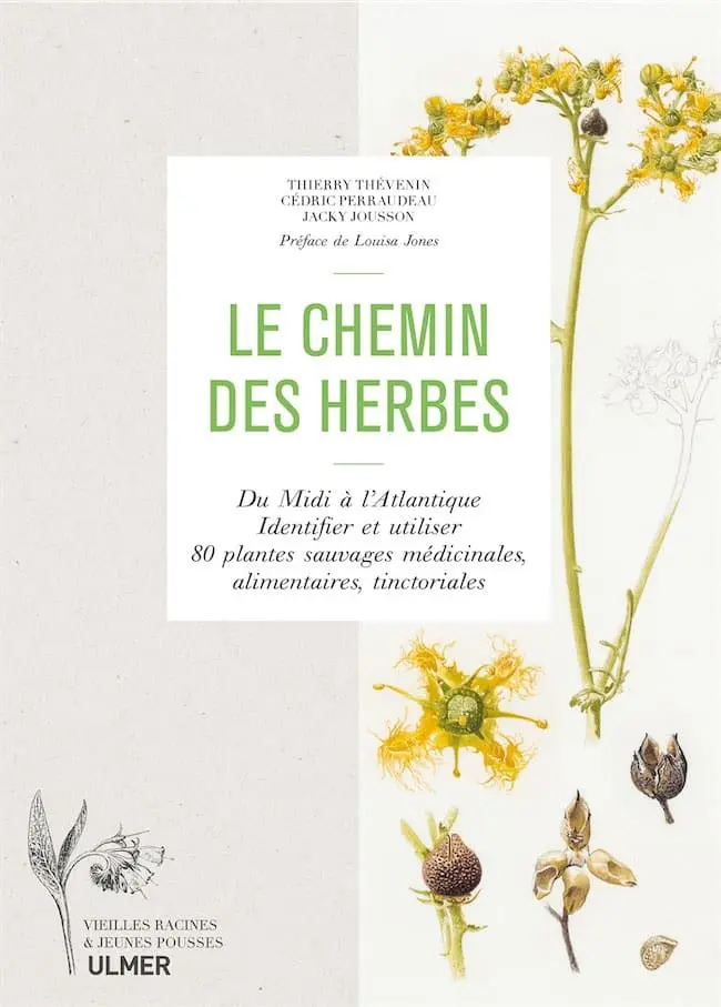 Le chemin des herbes – Du Midi à l&rsquo;Atlantique, identifier et utiliser 80 plantes sauvages médicinales, alimentaires, tinctoriales