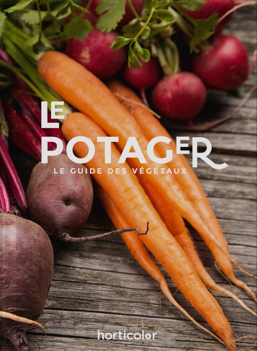 Le potager de la graine à l&rsquo;assiette