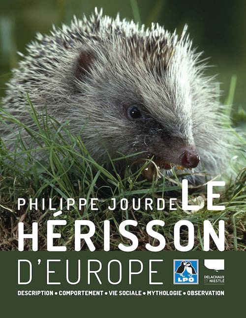 Le hérisson d&rsquo;Europe